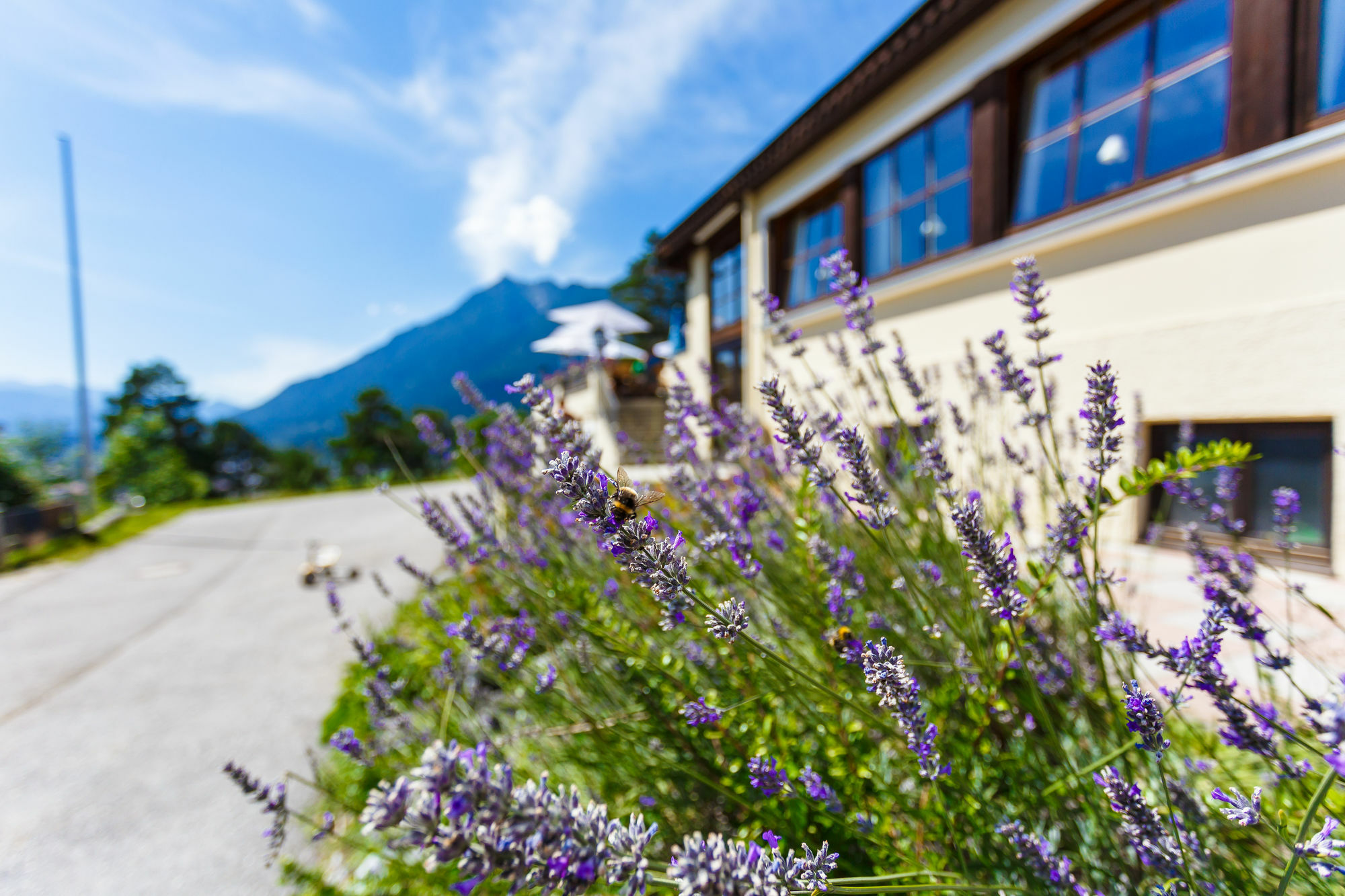 Landkomforthotel Panorama & Restaurant Bella Vista ガルミッシュ・パルテンキルヒェン エクステリア 写真